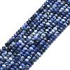 Natural Sodalite Beads Strands G-F715-097-1