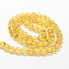 Natural Amber Beads Strands G-Q1006-01B-2