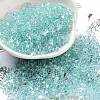 Luminous Glass Seed Beads X1-SEED-A033-07H-1