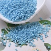 MIYUKI Delica Beads X-SEED-J020-DB0215-1