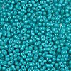 Baking Paint Glass Seed Beads SEED-L011-09A-07-3