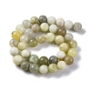 Natural New Jade Beads Strands G-F591-16-10MM-4