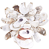 30Pcs 3 Styles Oyster Shell DIY-PH0029-34-6