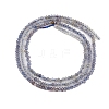 Natural Iolite Beads Strands G-F789-02-4