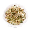 Baking Paint Transparent Glass Beads LS-DGLA-N005-01A-01-1