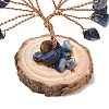 Natural Lapis Lazuli Chips Tree of Life Decorations GG-CBAEDF6-01J-3