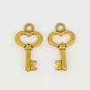 Gifts Ideas for Her Tibetan Style Alloy Charms GLF11975Y-1