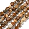 Natural Picture Jasper Beads Strands G-P497-01E-59-1