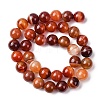 Natural Banded Agate Beads Strands G-H343-D03-12mm-3