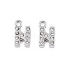 304 Stainless Steel Charms STAS-N095-137N-1