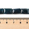 Natural Apatite Beads Strands G-Q026-B01-01-5