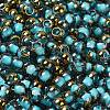 Glass Seed Beads SEED-H002-B-D223-3