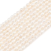 Natural Cultured Freshwater Pearl Beads Strands PEAR-F020-07-2