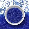 FGB 8/0 Grade A Round Glass Seed Beads SEED-Q006-3mm-F13-5
