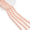 2 Strands Electroplated Shell Pearl Beads Strands PEAR-NB0001-96-1