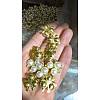 Alloy Cabochons PALLOY-WH0071-36G-1