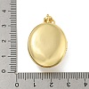 Brass Cubic Zirconia Locket Pendants KK-N254-93F-G-3