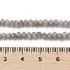 Natural Freshwater Shell Dyed Beads Strands SHEL-R100-13A-04-4