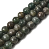 Natural Green Apatite Beads Strands G-K350-C04-8mm-2