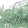 TOHO Round Seed Beads SEED-XTR11-PF0570-1