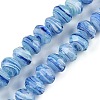 Handmade Lampwork Beads Strands LAMP-T007-13P-1