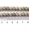 Natural Conch Fossil Beads Strands G-K380-A41-01-5