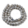 Natural Gemstone Beads Strands G-L641-A01-01-3