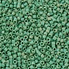 MIYUKI Delica Beads X-SEED-J020-DB0877-3
