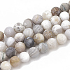 Natural Bamboo Leaf Agate Beads Strands X-G-T106-026-1