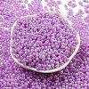 Glass Seed Beads SEED-K009-02B-14-2