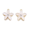 Alloy Pendants PALLOY-S177-01E-1