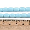 Opaque Glass Beads Strands GLAA-Z015-02E-4