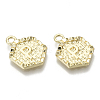 Alloy Pendants PALLOY-N157-003P-NR-2