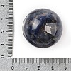 Natural Sodalite Sphere Beads G-I367-05H-2