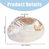 Natural Shell Jewelry Plates DJEW-WH0058-08-2