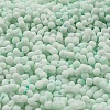 Macaron Color Opaque Frosted Glass Seed Beads X1-SEED-K009-12B-07-3