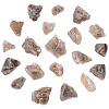 BENECREAT 300G Raw Natural Smoky Quartz Display Decorations G-BC0001-47-1