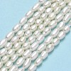 Natural Cultured Freshwater Pearl Beads Strands PEAR-J006-03E-2