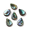 Natural Paua Shell Beads SSHEL-F305-02A-1
