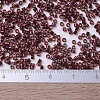 MIYUKI Delica Beads SEED-J020-DB0120-4