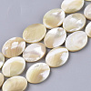 Natural Trochid Shell/Trochus Shell Beads Strands SHEL-T013-006A-01-1