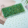 Transparent Bugle Beads Kits SEED-TA0001-57-5