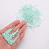 8/0 Opaque Glass Seed Beads SEED-S048-N-008-5