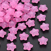 Transparent Acrylic Beads LS-MACR-S373-26E-10-1