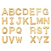 304 Stainless Steel Charms STAS-B093-12G-1