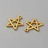 Zinc Alloy Pendants FIND-WH0139-508G-2