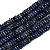 Natural Sodalite Beads Strands G-Q159-B32-01-2