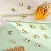Preciosa® MAXIMA Crystal Fancy Stones X-PRC-FA6-80100-3