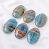 Natural Gemstone Palm Stones PW-WGFE884-01-3