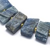 Natural Kyanite/Cyanite/Disthene Beads Strands G-G792-26-3